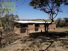 Fazenda / Sítio / Chácara com 4 Quartos à venda, 8000m² no Verava, Ibiúna - Foto 7