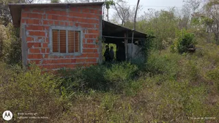 Fazenda / Sítio / Chácara com 1 Quarto à venda, 50000m² no Coxipó do Ouro, Cuiabá - Foto 5