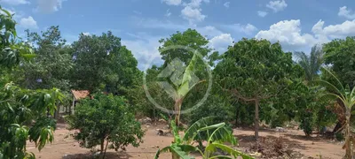 Fazenda / Sítio / Chácara à venda, 4m² no , Barão de Melgaço - Foto 6