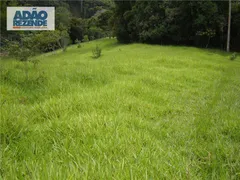 Fazenda / Sítio / Chácara com 4 Quartos à venda, 1150000m² no Corrego Sujo, Teresópolis - Foto 26