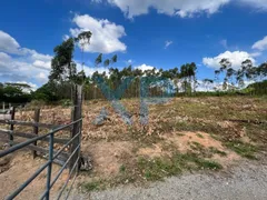 Fazenda / Sítio / Chácara com 2 Quartos à venda, 1500m² no Zona Rural, Carmo do Cajuru - Foto 3