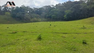 Fazenda / Sítio / Chácara com 2 Quartos à venda, 200m² no Zona Rural, Tuiuti - Foto 16