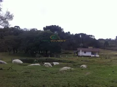 Fazenda / Sítio / Chácara com 4 Quartos à venda, 265000m² no Formigueiro, Araucária - Foto 7