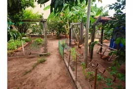 Fazenda / Sítio / Chácara com 2 Quartos à venda, 250m² no Centro, Guapiaçu - Foto 29