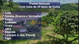Fazenda / Sítio / Chácara com 3 Quartos à venda, 31000m² no Zona Rural , Redenção da Serra - Foto 4