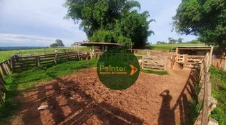 Fazenda / Sítio / Chácara à venda, 56m² no Zona Rural, Cassilândia - Foto 1