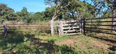 Fazenda / Sítio / Chácara com 2 Quartos à venda, 770m² no Zona Rural, Ibiaí - Foto 20