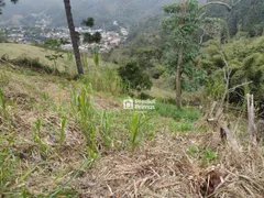 Terreno / Lote / Condomínio à venda, 520m² no Cônego, Nova Friburgo - Foto 6