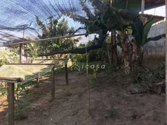 Fazenda / Sítio / Chácara com 2 Quartos à venda, 130m² no Piedade, Caçapava - Foto 3