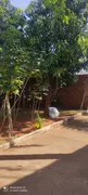 Terreno / Lote / Condomínio à venda, 430m² no Jardim América, Goiânia - Foto 18