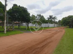 Fazenda / Sítio / Chácara com 3 Quartos à venda, 300m² no Panorama, Uberlândia - Foto 12