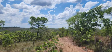 Fazenda / Sítio / Chácara à venda, 20000m² no Zona Rural, Baldim - Foto 8