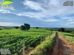 Fazenda / Sítio / Chácara com 5 Quartos à venda, 14907200m² no Zona Rural, Santa Cruz de Goiás - Foto 18