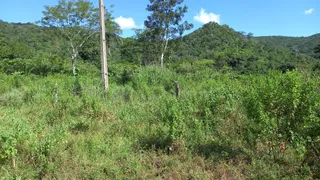 Fazenda / Sítio / Chácara à venda no Zona Rural, Montividiu do Norte - Foto 17