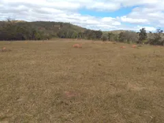 Terreno / Lote / Condomínio à venda, 5000m² no Centro, Santana do Riacho - Foto 5