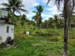 Fazenda / Sítio / Chácara com 4 Quartos à venda, 48000000m² no Rio da Areia Bacaxa, Saquarema - Foto 27