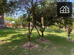 Fazenda / Sítio / Chácara com 3 Quartos à venda, 43560m² no Zona Rural, Cascavel - Foto 7