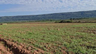 Fazenda / Sítio / Chácara à venda no Zona Rural, Rosário Oeste - Foto 27