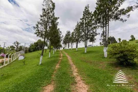 Fazenda / Sítio / Chácara com 5 Quartos à venda, 148m² no Faxina, São José dos Pinhais - Foto 3