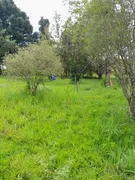 Fazenda / Sítio / Chácara com 4 Quartos à venda, 500m² no Parque Estrela Dalva II, Luziânia - Foto 25