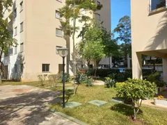 Apartamento com 3 Quartos à venda, 55m² no Jardim Boa Vista, São Paulo - Foto 36