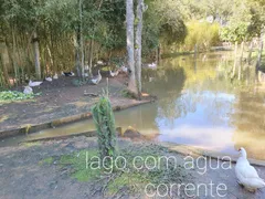 Fazenda / Sítio / Chácara com 1 Quarto à venda, 250m² no Casa Vermelha, Ribeirão Pires - Foto 9