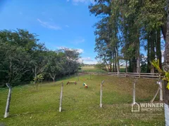 Fazenda / Sítio / Chácara com 2 Quartos à venda, 200m² no Agua Boa, Paiçandu - Foto 9