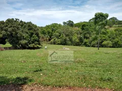 Fazenda / Sítio / Chácara com 4 Quartos à venda, 75000m² no Zona Rural, Bonfinópolis - Foto 20