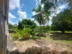 Fazenda / Sítio / Chácara com 3 Quartos à venda, 5000m² no Centro, São Cristóvão - Foto 8