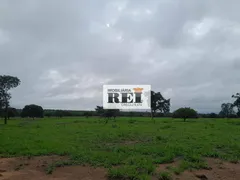 Fazenda / Sítio / Chácara com 3 Quartos à venda, 150m² no Zona Rural, São Valério da Natividade - Foto 9