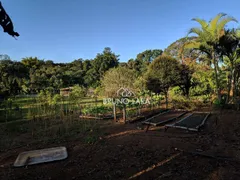 Fazenda / Sítio / Chácara com 2 Quartos à venda, 200m² no Nossa Senhora da Paz, São Joaquim de Bicas - Foto 29