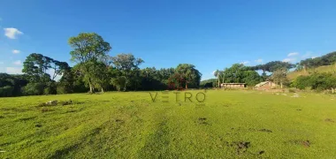 Fazenda / Sítio / Chácara com 4 Quartos à venda, 240000m² no Vale das Colinas, Gramado - Foto 1