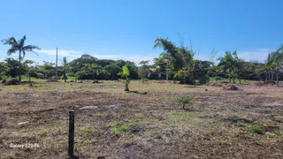 Terreno / Lote / Condomínio à venda, 4200m² no Praia do Ervino, São Francisco do Sul - Foto 15