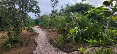 Casa com 3 Quartos à venda, 240m² no Centro, Alto Paraíso de Goiás - Foto 3