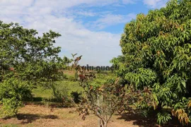 Fazenda / Sítio / Chácara com 3 Quartos à venda, 200m² no Pinheirinho, Itu - Foto 30