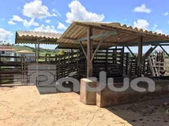 Fazenda / Sítio / Chácara com 4 Quartos à venda, 1171675m² no Centro, Salgado - Foto 24