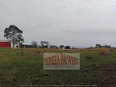 Terreno / Lote Comercial à venda, 115000m² no Jardim Revista, Suzano - Foto 7