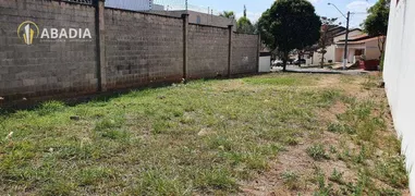 Terreno / Lote / Condomínio à venda, 300m² no Condominio Aurora, Paulínia - Foto 3