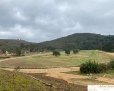 Fazenda / Sítio / Chácara com 10 Quartos à venda, 120000m² no Serra, Teresópolis - Foto 16