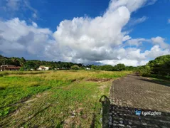 Terreno / Lote Comercial à venda, 40000m² no Sitio dos Marcos, Igarassu - Foto 9