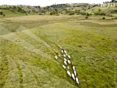 Fazenda / Sítio / Chácara à venda, 3800000m² no Zona Rural, Bonito - Foto 12