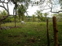 Fazenda / Sítio / Chácara com 2 Quartos à venda, 13000m² no Caboto, Candeias - Foto 6