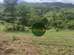 Fazenda / Sítio / Chácara com 2 Quartos à venda, 484000m² no Zona Rural, Heitoraí - Foto 3