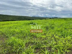 Fazenda / Sítio / Chácara à venda, 75m² no Zona Rural, Paraúna - Foto 13