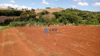 Fazenda / Sítio / Chácara com 3 Quartos à venda, 72600m² no Lerroville, Londrina - Foto 2