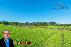 Fazenda / Sítio / Chácara à venda, 70000m² no Zona Rural, Três Coroas - Foto 28