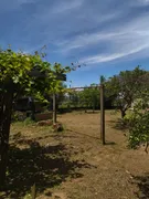 Fazenda / Sítio / Chácara com 3 Quartos à venda, 96m² no Rural, Porangaba - Foto 9