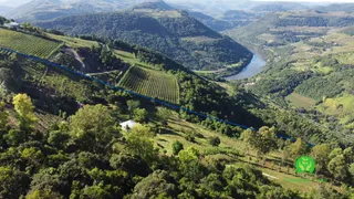 Fazenda / Sítio / Chácara à venda, 120000m² no Zona Rural, Monte Belo do Sul - Foto 9