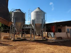 Fazenda / Sítio / Chácara com 3 Quartos à venda, 880000m² no Silva Campos, Pompéu - Foto 8