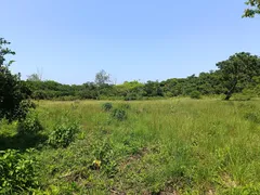 Fazenda / Sítio / Chácara à venda, 75000m² no Ilha de Guaratiba, Rio de Janeiro - Foto 23